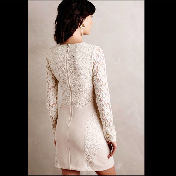 Plenty by TR “Romona” lace dress NWOT - Picture 2 of 8